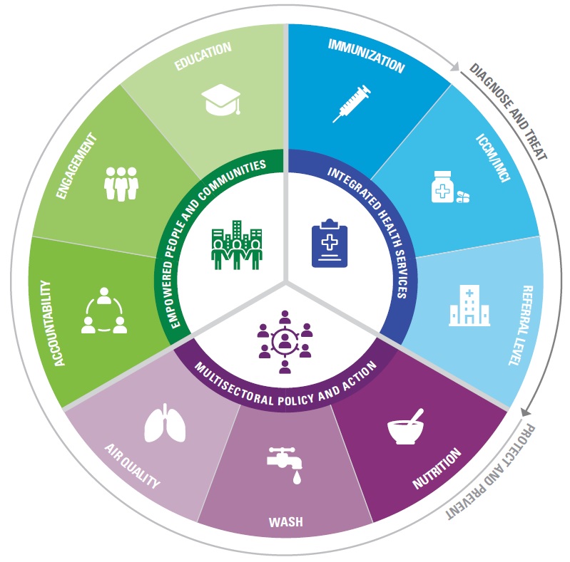 Child Survival Wheel Child Health Task Force